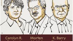 Nobel Prize 2022: इन तीन वैज्ञानिकों को मिला रसायन का नोबेल पुरस्कार, जानें क्या है इनकी उपलब्धि