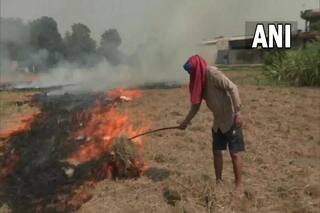 यहां पराली जलाने पर अब लगेगा भारी जुर्माना, आदेश हुआ जारी...