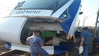 Over 4000 Trains Hit Cattle In 2022 Alone, More Than 22 Strike Daily: Report