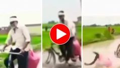 Chachaji Ka Video: चाची को साइकिल पर बैठाकर मचलने लगे चाचाजी, अगले ही सेकेंड दोनों नहर में मिले- देखें वीडियो
