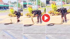 Sanp Ka Video: पूंछ से पकड़ में नहीं आया तो सांप की गर्दन दबोचने लगा लड़का, हिलाकर कर रख देगा नजारा- देखें वीडियो