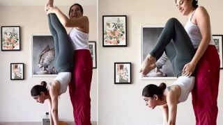 Alaya F Performs Intense Inverted Yoga Session To Maintain Sexy-Toned Body, Netizens Say 'Goosebumps' - Watch