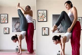 Alaya F Performs Intense Inverted Yoga Session To Maintain Sexy-Toned Body, Netizens Say 'Goosebumps' - Watch