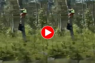 Bhalu Ka Video: भालू से बचने के लिए फटाफट पेड़ पर चढ़ने लगा शख्स, मगर जैसे ही पीछे पलटा हलक में अटक गई जान- देखें वीडियो
