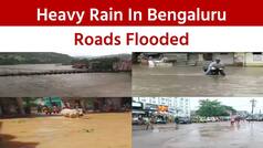 Bengaluru Rains: Heavy Rain In The City Causes Waterlogging, Many Roads Flooded - Watch Video