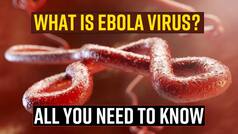 Uganda Ebola Virus Outbreak: What Is Ebola Virus? Symptoms, Causes And Treatment, All You Need To Know - Watch Video
