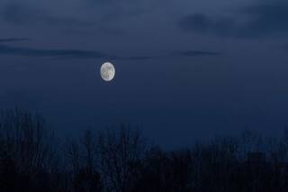 Travel For Chandni Raat? In A First, THIS State To Launch Full Moon Tourism In India