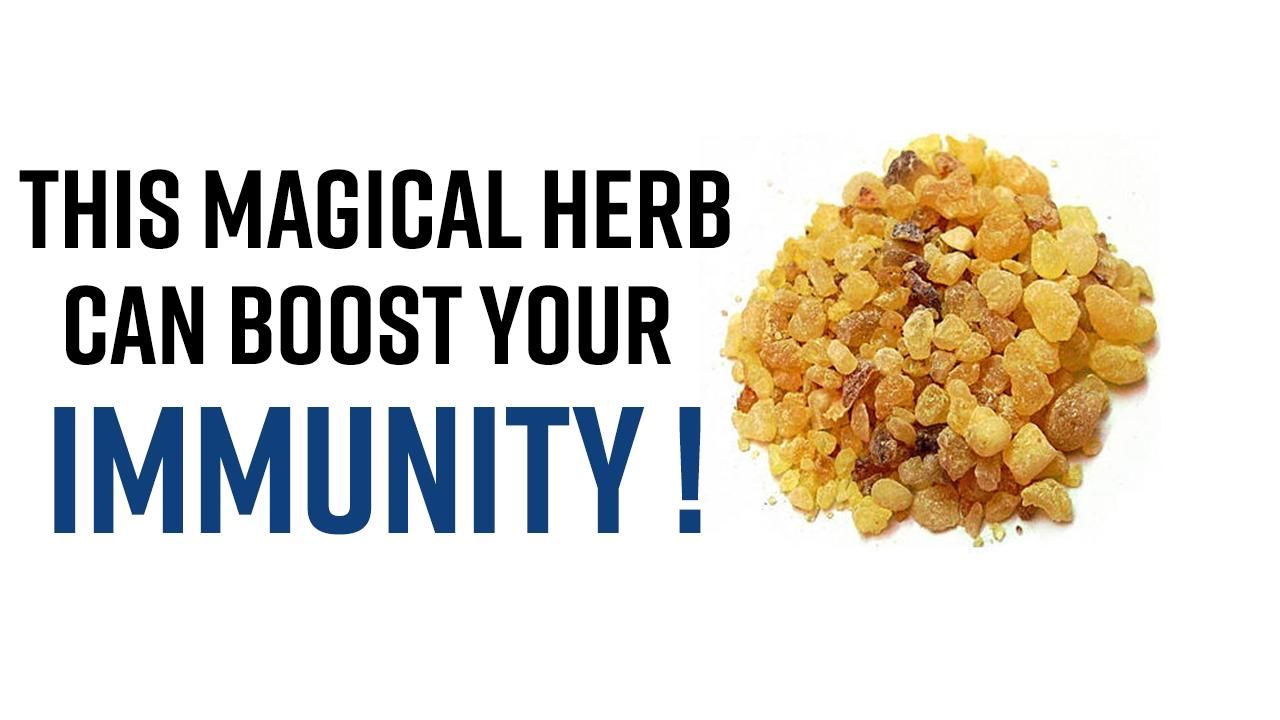 Weight Loss in 2025: Innovations in Medical Solutions and Lifestyle Changes