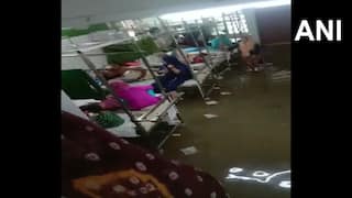 Highlights | UP Rain Claims 5 Lives, Several Injured In Separate Incidents; Schools Shut In Many Districts