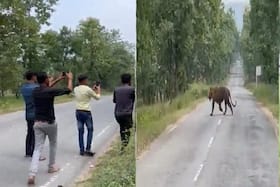 india.com top news