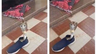 Viral Video: Giant Cobra Caught Hiding Inside A Shoe, Video Will Leave You Scared | Watch