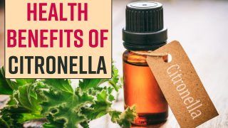 Health Benefits Of Citronella: Natural Insect Repellent To Treating Infection, Citronella Has Some Miraculous Benefits| Watch Video