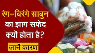 Soap Foam: कलरफुल साबुन से क्यों निकलता है सफेद झाग? वीडियो में जानें कारण | Watch Video