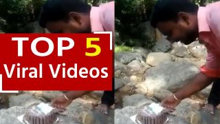 Viral Video: जन्मदिन मना रहा था शख्स, अचानक बंदर आया और केक पर कर दिया अटैक | देखें वीडियो