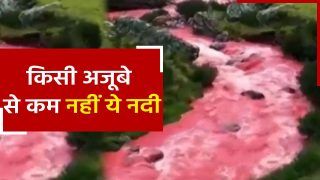 Viral Video: यहां बहती है खून की नदी, वीडियो देख दंग रह जाएंगे आप | Watch Video