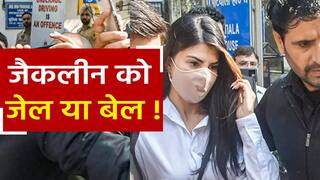 Money Laundering Case: जैकलीन को परेशान कर रही है ED? पटियाला कोर्ट आज सुनाएगा फैसला | Watch Video