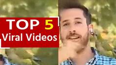 Viral Video: पत्रकार का ईयरफोन ले उड़ा तोता, देखें मजेदार वीडियो