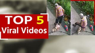 Viral Video: नन्हें डॉगी ने बुजुर्ग महिला के बैठने के लिए खिसकाया स्टूल, जरूर देखें यह वीडियो | Watch Video