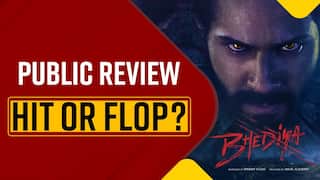 Bhediya Public Review: Is Varun Dhawan And Kriti Sanon Starrer A Hit Or Flop? Know What Public Has To Say - Watch