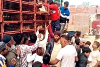 यूपी: चुनाव में उम्मीदवार ने बांट दिया दो ट्रक चिकन, कहा- मतदाताओं को मेरा धन्यवाद | हुई कार्रवाई
