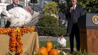 President Biden Opens Holidays, Pardons Turkeys Chocolate and Chip