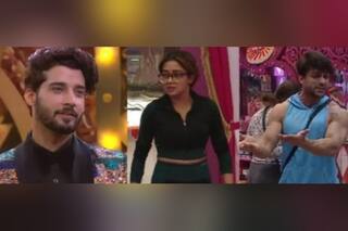Bigg Boss 16 से पहली बार बाहर हुआ कोई मेल कंटेस्टेंट, 'दो हंसों के जोड़े' को होना पड़ा अलग