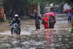 Tamil Nadu Rains Update: Schools, Colleges In This District To Remain Close Tomorrow | Details Here