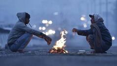 Weather Update: IMD Issues Dense Fog Alert for THESE State till Saturday, IMD Predicts
