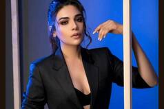 Bade Acche Lagte Hain 2 Fame Anjum Fakih Almost Gets Scammed, Receives A Theft Call