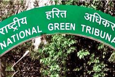 एनजीटी की गंभीर टिप्पणी : झारखंड पॉल्यूशन कंट्रोल बोर्ड के सचिव एससी का आदेश भी नहीं मानते