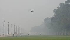 Highlights: GRAP Stage III Curbs To Continue In Delhi-NCR, Says CAQM Review Panel