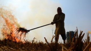 बिहार: खेतों में जलाई पराली तो मुश्किल में पड़ेंगे किसान, सरकार ने लिया सख्त एक्शन का फैसला