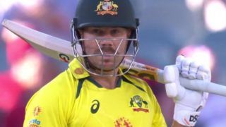 David Warner Could Be Back As Captain As Australia Due To This Reason, Read More