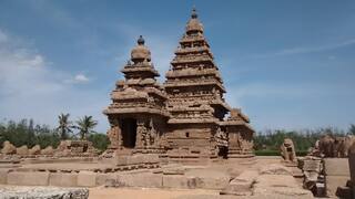 Madras HC Bans Mobile Phones In Temples Across Tamil Nadu To Maintain 'Purity, Religious Sanctity'