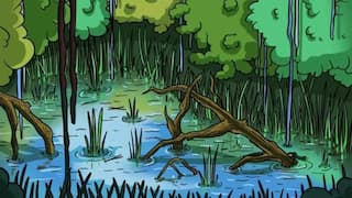 Optical Illusion: Can You Spot The Crocodile Hidden Inside This Lake Within 12 Seconds?