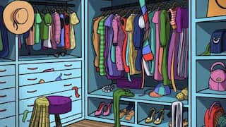 Optical Illusion: Can You Spot The Cat Hiding In This Wardrobe Within 15 Seconds?