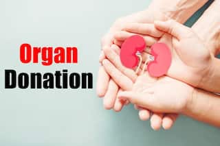 Centre Grants 42 Days Special Casual Leave To Govt Employees For Organ Donation