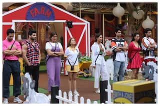 Bigg Boss 16: Shalin Bhanot And Sumbul Touqeer Get Yummy Surprise On Their Birthdays