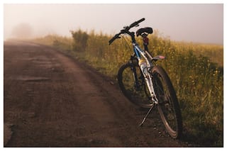 Bicycle Thefts Rattle US City, GPS, CCTV Of No Help, Many Cops Quit