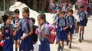 Schools to Remain Shut From Dec 25 Due to Winter Vacation in These States. Full List Here