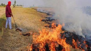 Pollution Levels In Delhi-NCR Rise, So Does Stubble Burning In Punjab Farmlands