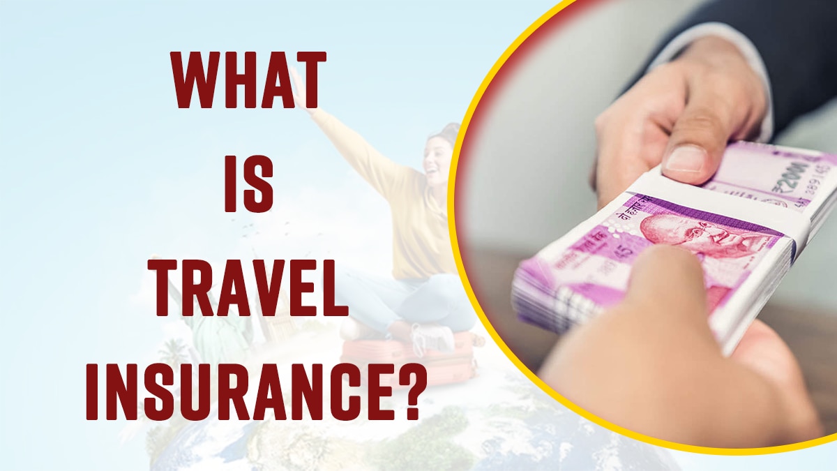 Finance: Know What Is Travel Insurance, It's Types And What Does it Cover? Watch Video