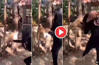 Ladki Ka Video: बंदर को छेड़ने की भूल कर गई लड़की, तभी ऐसा पटका दोबारा उठ ना पाई बेचारी | देखिए वीडियो