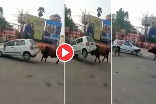 Video: सांड की ताकत देख दंग रह जाएंगे, फुटबॉल की तरह हवा में उछाल दी कार और बना दिया कबाड़ा