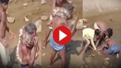 Azgar Ka Video: इंसान को जिंदा निगलने लगा अजगर, पहले गर्दन से लपेटा फिर जो हुआ हिल जाएंगे | देखिए