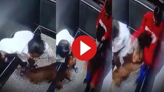 Dog Attack Video: सोसाइटी के लिफ्ट में बच्चों को देखते ही हमलावर हो गया डॉगी, मगर महिला ने दिखा दी सूझबूझ- देखें वीडियो