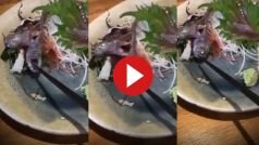 Viral Video Today: मछली ऑर्डर कर बड़े चाव से वेट करने लगा शख्स, जैसे ही खाने गया जिंदा हो गई- देखें वीडियो