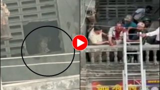 Wild Animal Video: बिल्डिंग में अचानक घुस आया खूंखार तेंदुआ, कई लोगों को काट खाया... देखें वीडियो