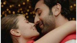 Alia Bhatt-Ranbir Kapoor Announce Arrival of Their Baby Girl With Picture of Lion Family - Check Beautiful Post