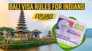 Planning A Holiday In Bali, Indonesia? Know Bali Visa Rules for Indians in This Video - Watch